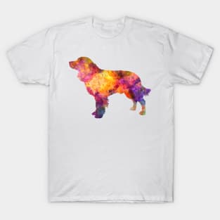 American Water Spaniel  in watercolor T-Shirt